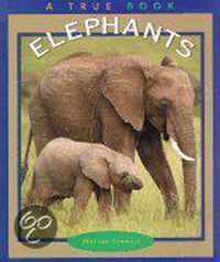 Elephants