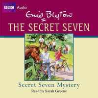 Secret Seven Mystery