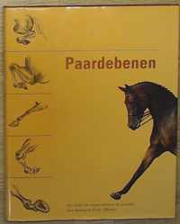 Paardebenen