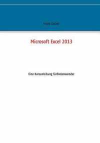 Microsoft Excel 2013