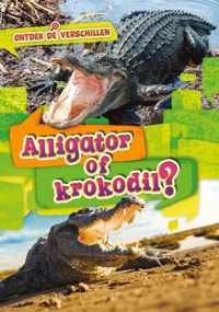 Ontdek de verschillen  -   Alligator of krokodil?