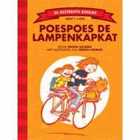 Poespoes de lampenkapkat (groep1)