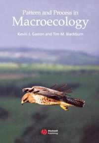 Pattern and Process in Macroecology