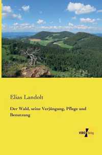 Der Wald, seine Verjungung, Pflege und Benutzung