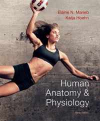 Human Anatomy & Physiology