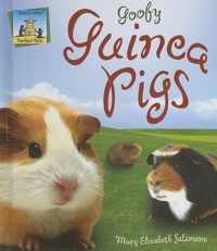 Goofy Guinea Pigs