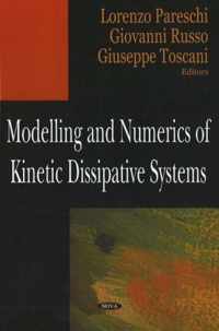 Modelling & Numerics of Kinetic Dissipative Systems