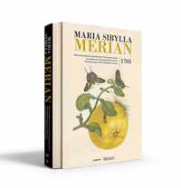 Maria Sibylla Merian. Metamorphosis insectorum Surinamensium