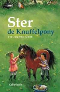 Ster de knuffelpony