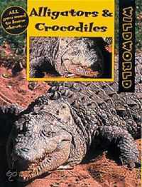 Alligators and Crocodiles