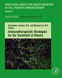 Immunotherapeutic Strategies for the Treatment of Glioma