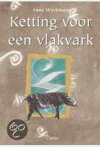 Ketting Voor Een Vlakvark