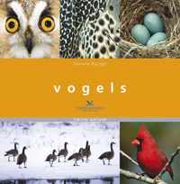 Vogels