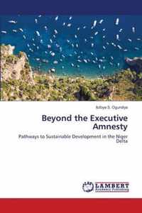 Beyond the Executive Amnesty