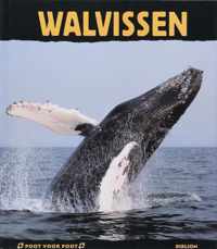 Walvissen