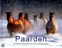 Ontdek Paarden