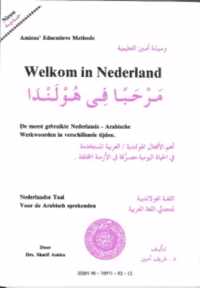 Welkom in nederland meest gebr. werkwoord