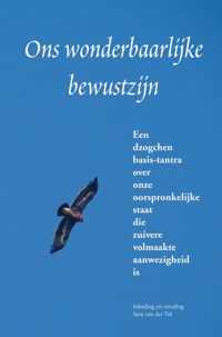 Ons wonderbaarlijke bewustzijn - Sjon van der Tol - Paperback (9789464355321)