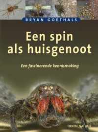 Spin Als Huisgenoot