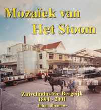 Mozaiek van het stoom