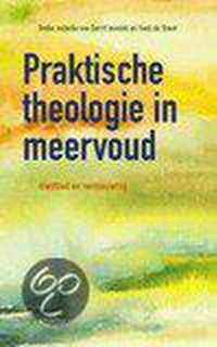 Praktische Theologie In Meervoud