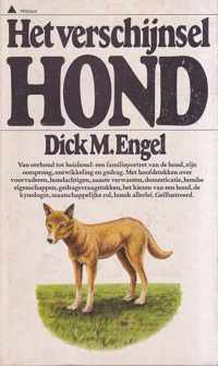 Verschynsel hond