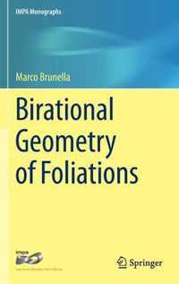 Birational Geometry of Foliations