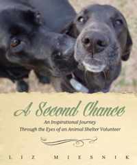 A Second Chance