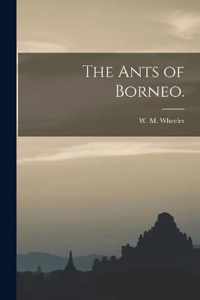 The Ants of Borneo.