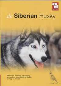 Siberian Husky