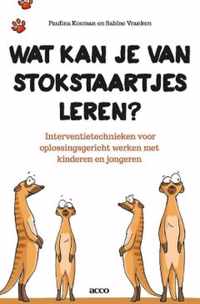 Wat kan je van stokstaartjes leren? Interventietechnieken voor het oplossingsgericht werken met kinderen en jongeren