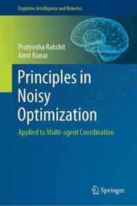 Principles in Noisy Optimization