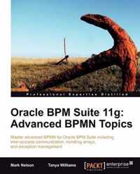 Oracle BPM Suite 11g