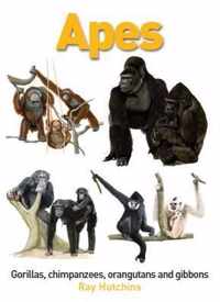 Apes