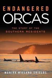 Endangered Orcas