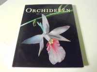 Orchideeen