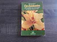 Orchideeen