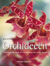 Orchideeen