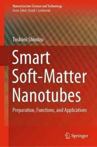 Smart Soft Matter Nanotubes