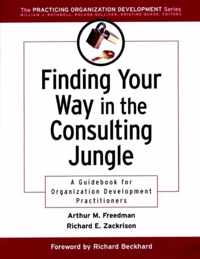 Finding Your Way in the Consulting Jungle