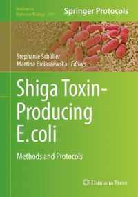 Shiga Toxin-Producing E. coli