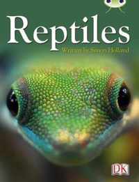 BC NF Red (KS2) B/5B Reptiles