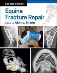 Equine Fracture Repair