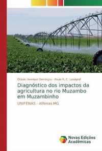 Diagnostico dos impactos da agricultura no rio Muzambo em Muzambinho