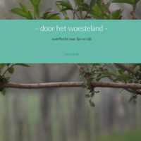 - door het woesteland -