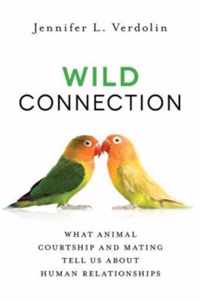 Wild Connection