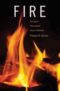 Fire: The Spark That Ignited Human Evolution