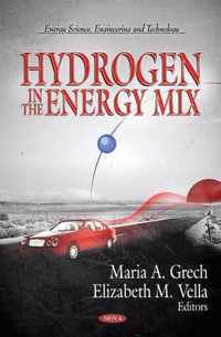 Hydrogen in the Energy Mix