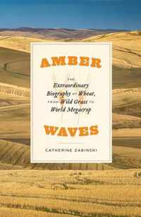 Amber Waves  The Extraordinary Biography of Wheat, from Wild Grass to World Megacrop