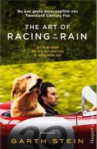 The Art of Racing in the Rain